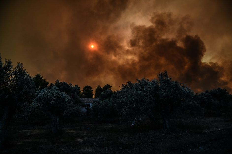 U požaru na grčkom ostrvu Evija izgorelo 2.000 hektara