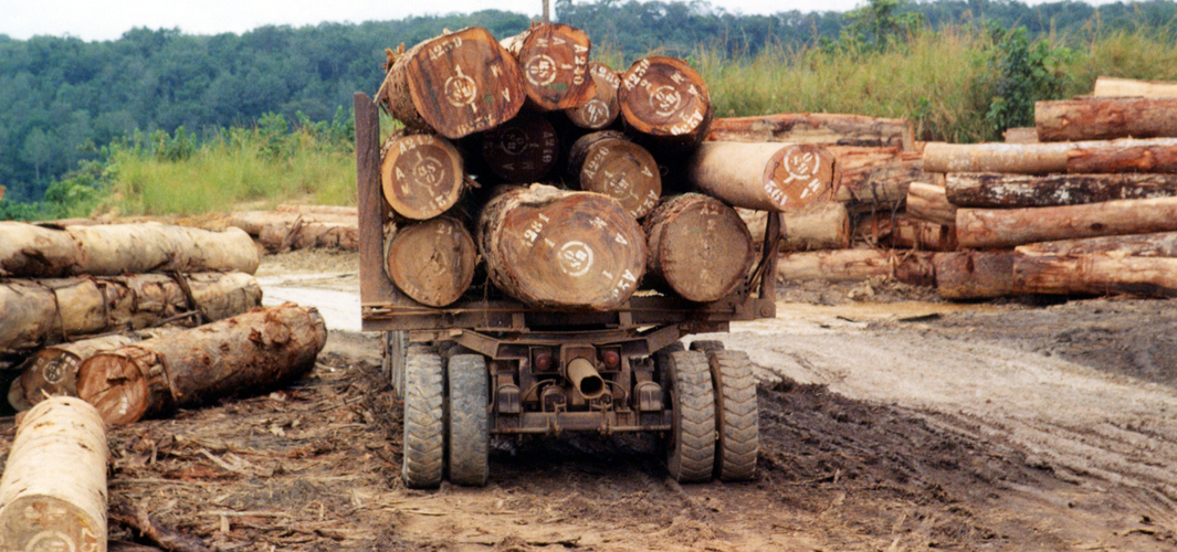 U prva dva mjeseca u drvnoj industriji BiH izvoz povećan za 6,5 odsto