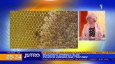 U uzorcima meda, meda ni u tragovima, ali čega sve ima i da li je opasno? VIDEO