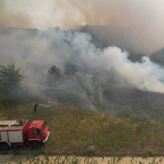 UHAPŠEN PIROMAN IZ BORA: U požaru izgorelo 40 hektara šume, livade i dve brvnare