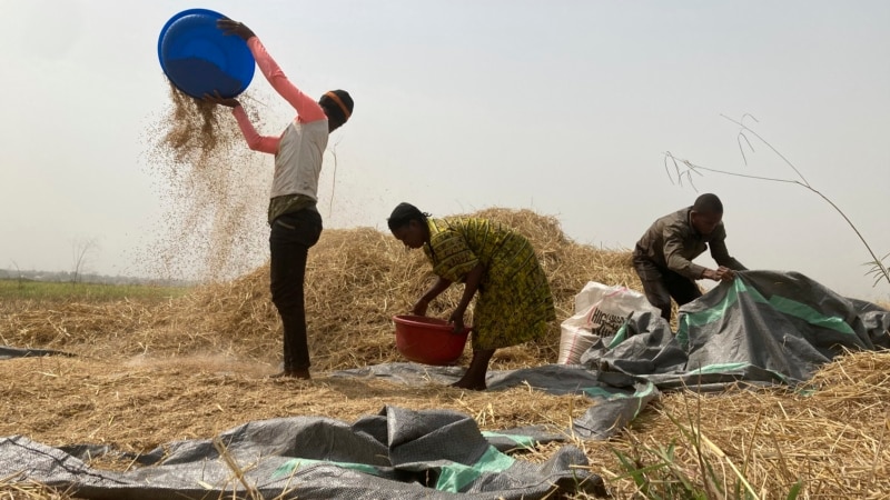 UN upozoravaju na glad u Africi, upućen hitni apel za pomoć