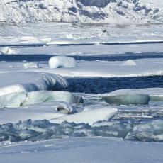 UNOSAN BIZNIS: Obogatio se prodajom santi leda s Grenlanda