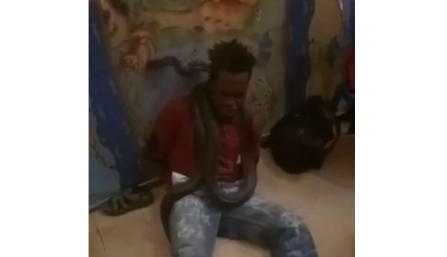 UŽAS: Policija priznala torturu uz pomoć zmije (VIDEO)