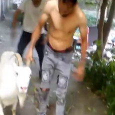 UŽAS U CENTRU BEOGRADA! Zlostavljali i klali životinje usred bela dana, komšije šokirane ne znaju šta da rade (UZNEMIRUJUĆI VIDEO)