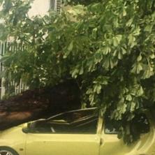 UŽASNI PRIZORI NEVREMENA U BEOGRADU: Drvo smrskalo automobil, ljudi u panici se pitaju da li će moći da NAPLATE ŠTETU (FOTO)