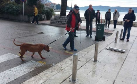 (UZNEMIRUJUĆA FOTO 18+) : Pitbul rastrgao psa u Tivtu, pa krenuo na majku i dete!