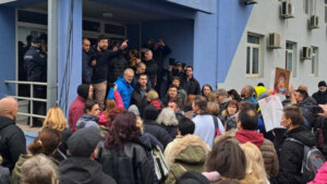 Udruženja građana: Ani Mihaljici ne bi bila vraćena deca da nije bilo protesta i pritiska javnosti