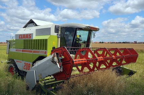 Udruženje mlinara RS: Cenu pšenice regulišu berze, nema dogovora sa proizvođačima