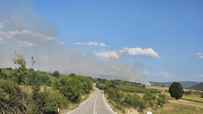 Ugašen požar kod Svrljiga, kiša pomogla vatrogascima