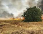 Ugašen požar kod mosta na Južnoj Moravi u Malošištu