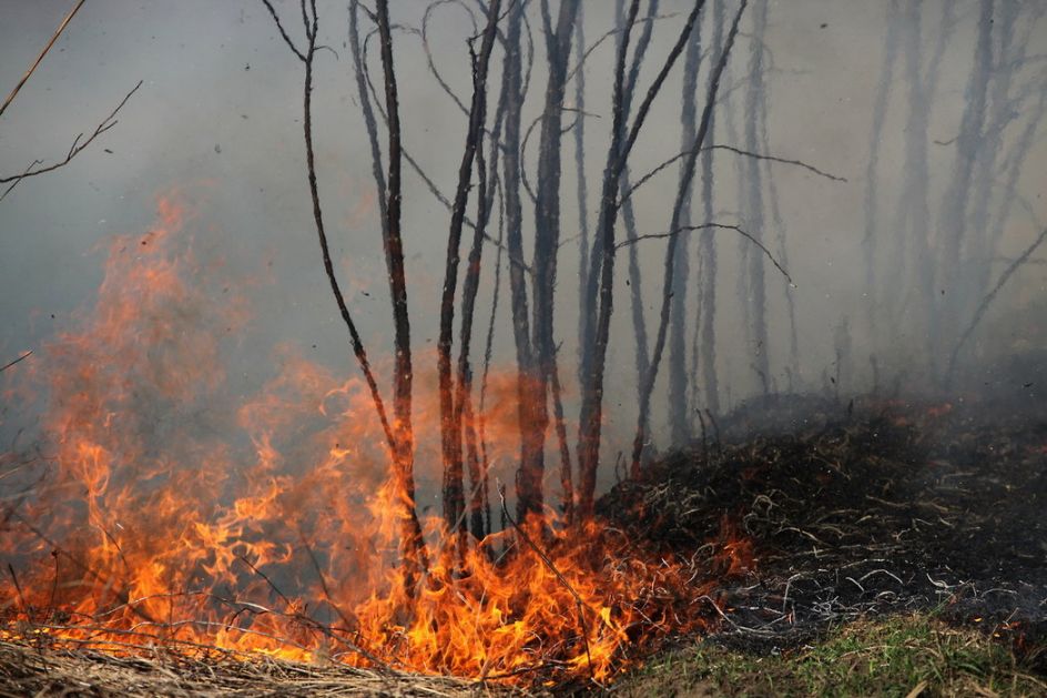 Ugašen požar na području Lovćena