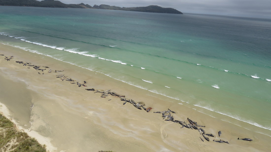 Uginuo 51 kit, nasukali se kod Čatamskih ostrva