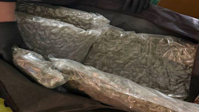 Uhapšen Nišlija, u stanu pronađeno 5 kilograma marihuane i oko 200 grama kokaina