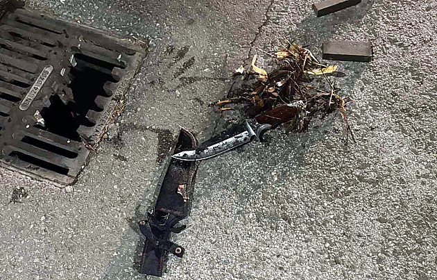 Uhapšen osumnjičeni za ubistvo na Detelinari