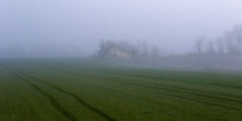 Ujutru mraz, mestimično magla, popodne sunčani intervali