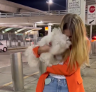 Ukrajinka se ponovo srela sa svojim psom, njegova reakcija mnoge rasplakala VIDEO