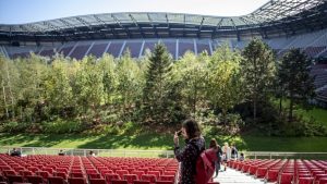Umesto igrača, na travi austrijskog stadiona – šuma