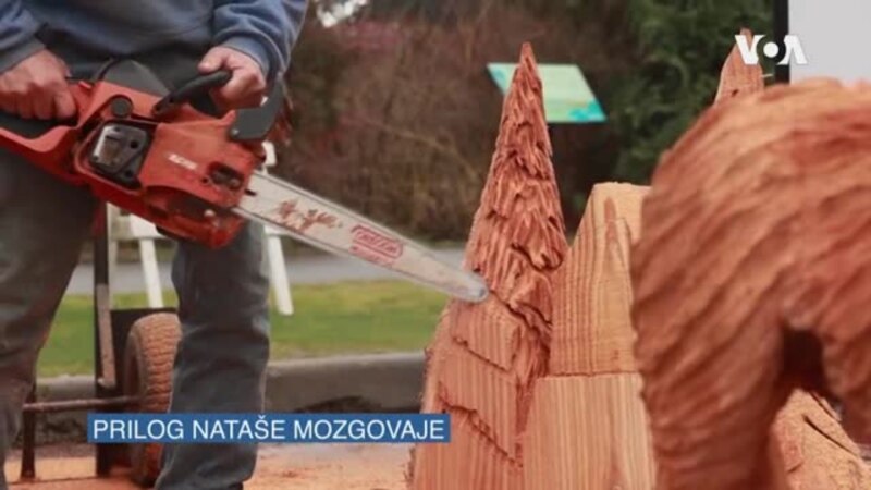Umetnici prave drvene skulpture motornim testerama