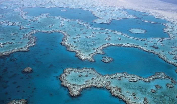 Unesko: Veliki koralni greben nije ugrožen
