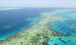 Unesko hoće da uvrsti koralni greben kod Australije u ugrožene lokacije svetske baštine (VIDEO)
