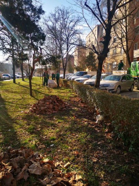 Uređivanje travnjaka i šetnih staza na Limanu, Detelinari i uz Bulevar oslobođenja