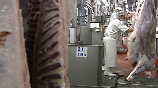 Uskoro izvoz srpskog mesa na tursko tržište