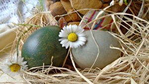 Uskršnja jaja – farbanje u ljubičastom kupusu