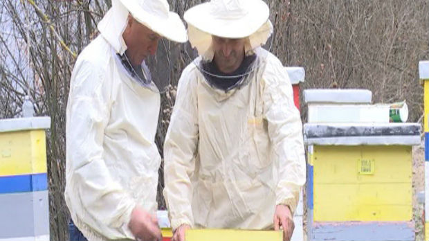Uticaj pesticida na pčele