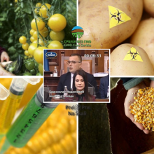Uvodi li Srbija GM hranu - novim zakonom o bezbednosti hrane?