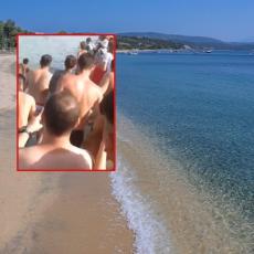 Užas na letovalištu punom Srba u Grčkoj: Na plaži se pojavilo OVO, a turisti ga ubili kamenovanjem (VIDEO)