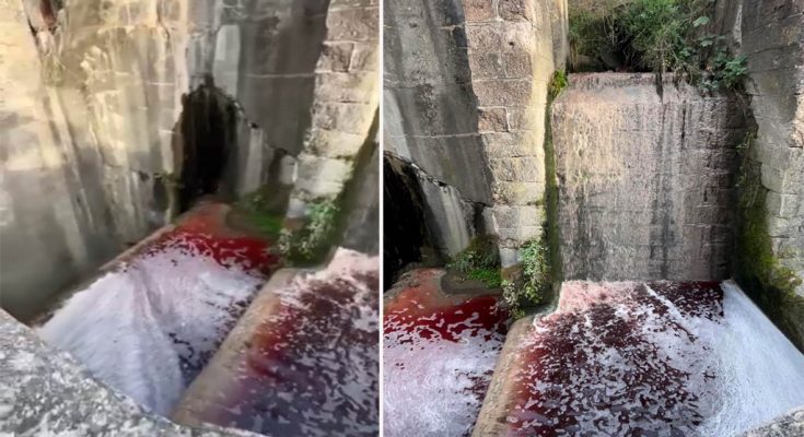 Užas u Novom Pazaru: Rijeka Raška ponovo preplavljena životinjskom krvlju