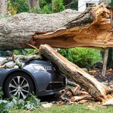 VANREDNE OKOLNOSTI: Šta treba da radite ako oluja obori drvo na vaš auto?
