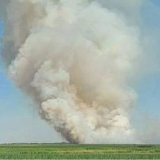 VATRENA STIHIJA U KIKINDI OŠTETILA POLJOPRIVREDNIKE ZA PET MILIONA: Vatra progutala 24 hektara pšenice (FOTO)