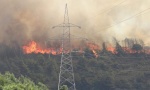 VATRENA STIHIJA: Veliki požar na Sitoniji, vetar otežava gašenje (VIDEO)