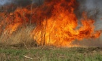 VATROGASCI POKUŠAVAJU DA OBUZDAJU VATRU: Bukti požar oko povratničkih sela Osojane i Koš