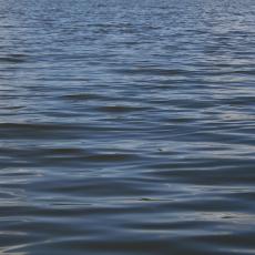 VELIKA TRAGEDIJA KOD SREMSKE MITROVICE: U jezeru pronađeno beživotno telo mladića (28)