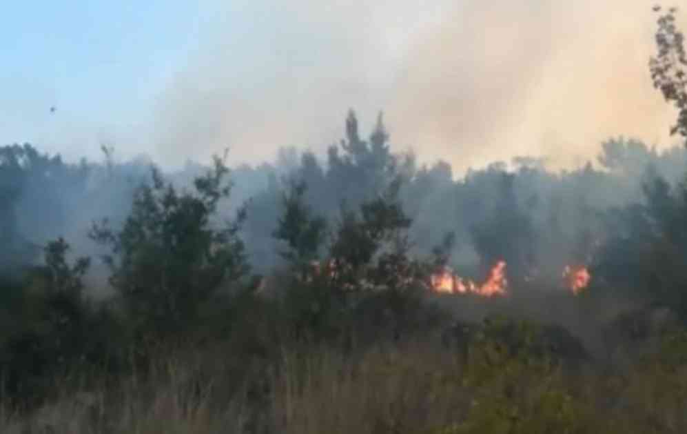 VELIKI POŽAR GUTA SITONIJU: Grčko poluostrvo u plamenu, od dima se ne vidi prst pred okom! (FOTO)