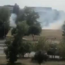 VELIKI POŽAR ISPRED FDU! Vatrenu stihiju na Novom Beogradu gasile dve vatrogasne ekipe (VIDEO)