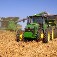 VELIKI UZLET ŽITARICA U SRBIJI: Cena kukuruza i soje dostigla osmogodišnji maksimum