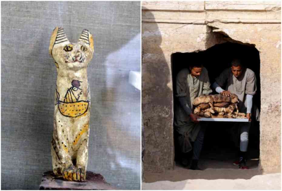 VELIKO OTKRIĆE U DREVNIM GROBNICAMA: Pronađene mumificirane mačke stare 4.000 godina, a naišli su i na jedna posebna vrata (FOTO, VIDEO)