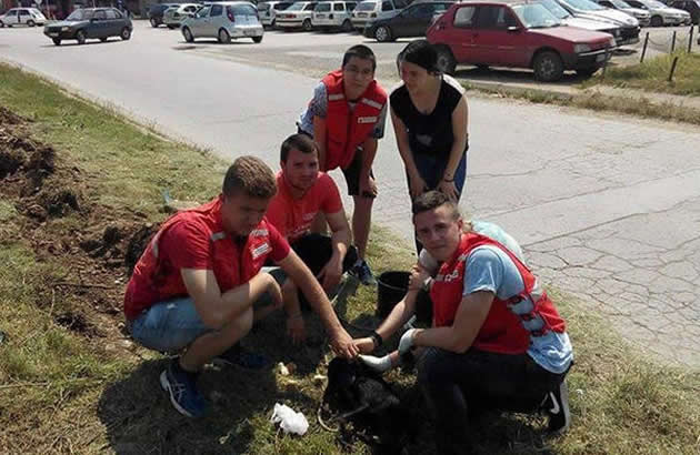 VELJKO JOVANOVIC POSTAO HEROJ PROKUPLJA Iz rupe duboke 5 metara spasao stene psa lutalice