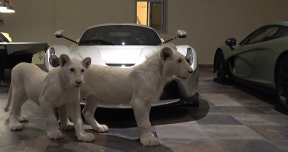 VIDEO: Kolekciju hiperautomobila katarskog bogataša čuvaju beli lavovi
