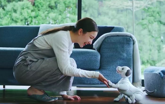 VIDEO: Novi robot-pas može da ostvari emocionalnu vezu s vlasnicima