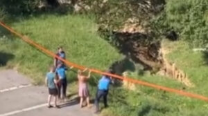 (VIDEO) Odron na Voždovcu: Krater se otvorio nedaleko od gradilišta u Darvinovoj ulici