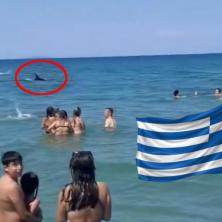 (VIDEO) Panika na plaži u Olimpijskoj regiji: Srpski turista snimio peraja kod bova, ljudi panično izlazili iz vode, a tek je SNIMAK otkrio pravu istinu