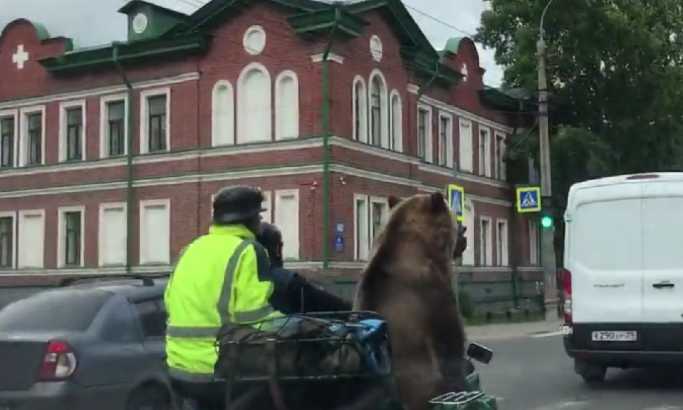 VIDEO: Samo u Rusiji - medved na motoru
