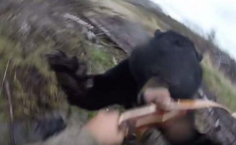 (VIDEO) ZASTRAŠUJUĆI NAPAD: Ovako izgleda kad se medved zaleti na čoveka!