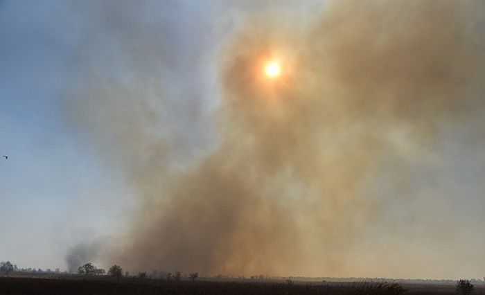 VIDEO: Zbog paljenja strnjike gorelo 800 hektara šuma, njiva i deo rezervata Carska bara