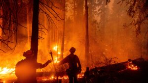 VOA:U požarima u Oregonu najmanje 25 mrtvih i desetine nestalih
