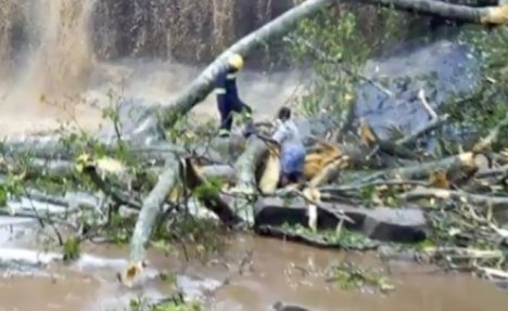 VODOPAD SMRTI U GANI: Drvo palo u bazen i ubilo 18 ljudi
